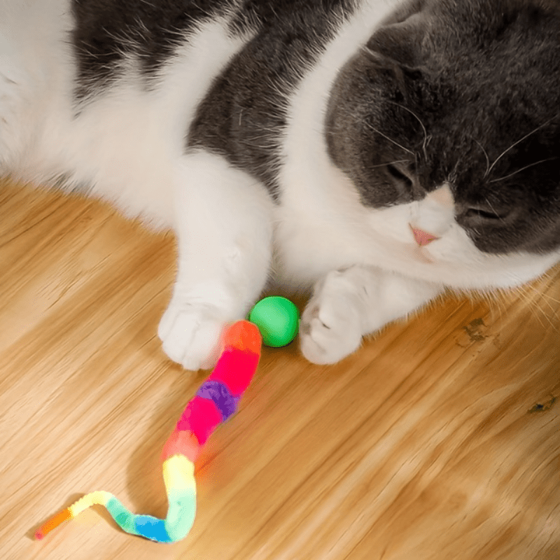 Interaktive Katzenspielzeuge im 2er-Set mit buntem Ball und Plüsch-Teaser