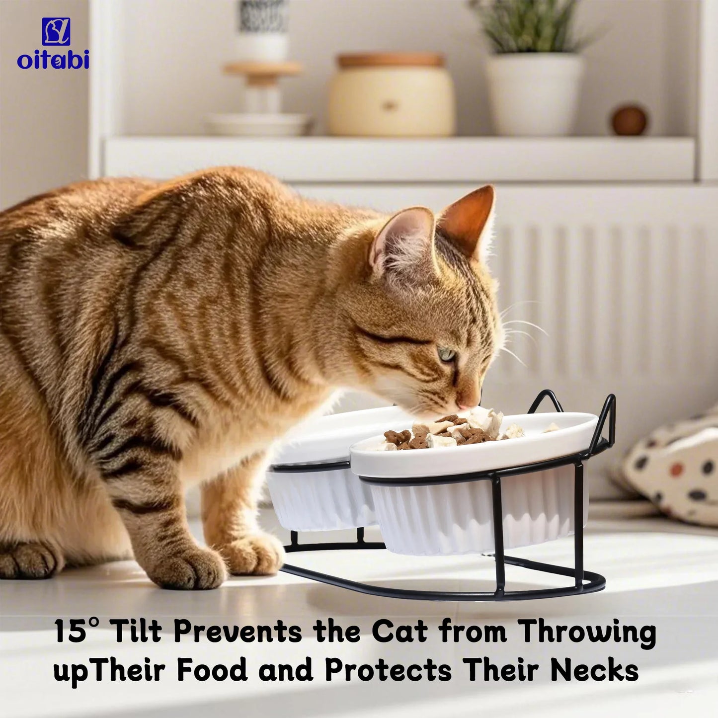 Erhöhte Katzenschalen aus Keramik für gesundes Fressen