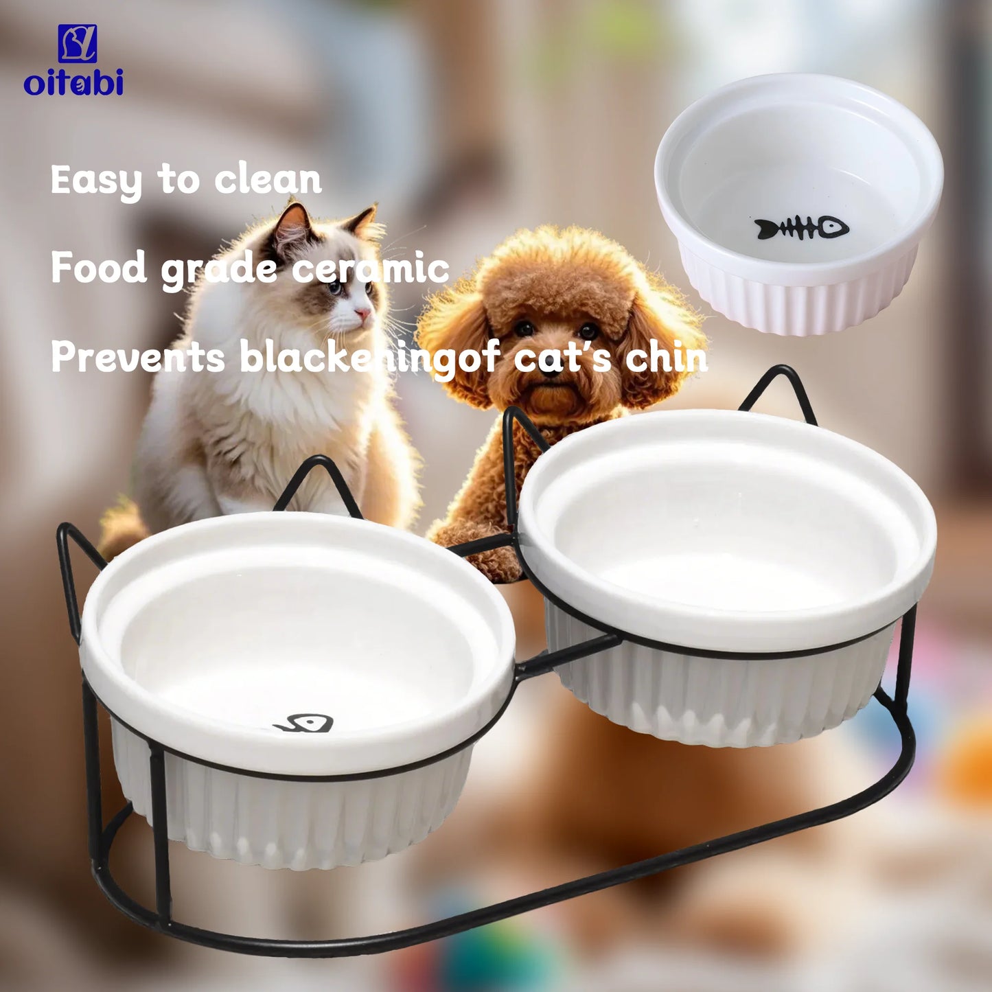 Erhöhte Katzenschalen aus Keramik für gesundes Fressen