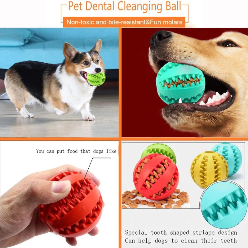 Robuster Spielball aus Gummi für Hunde und Katzen zur Zahnpflege