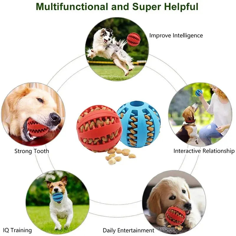 Interaktiver Spielzeugball für Hunde und Katzen aus ungiftigem Gummi