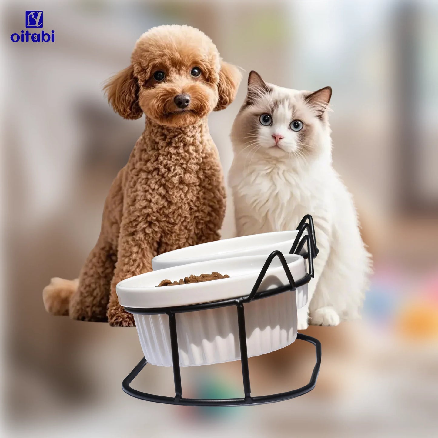 Erhöhte Katzenschalen aus Keramik für gesundes Fressen