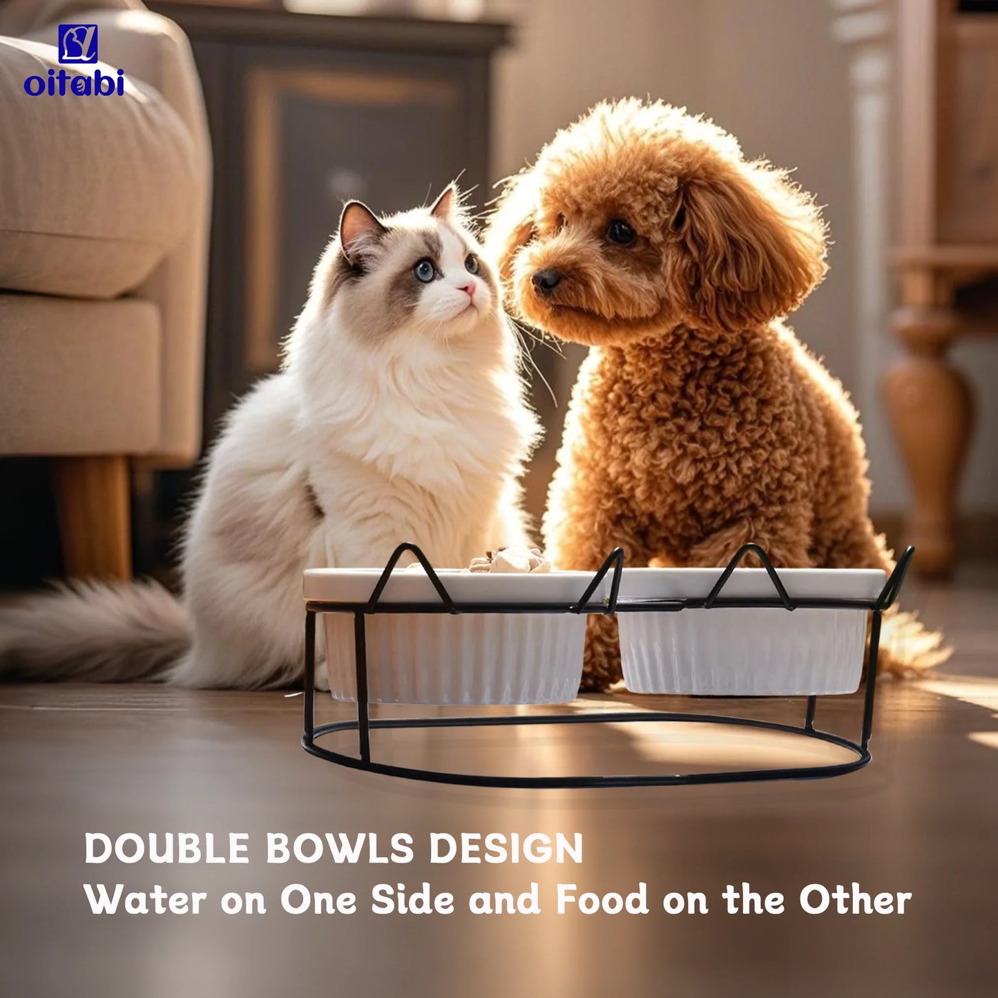 Erhöhte Katzenschalen aus Keramik für gesundes Fressen