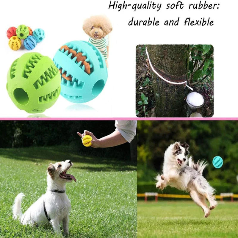 Robuster Spielball aus Gummi für Hunde und Katzen zur Zahnpflege