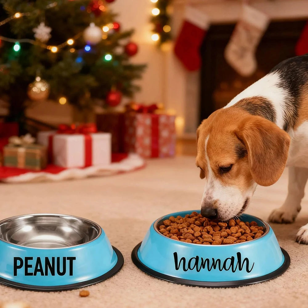 Schöner Napf für Ihre geliebten Haustiere aus Edelstahl