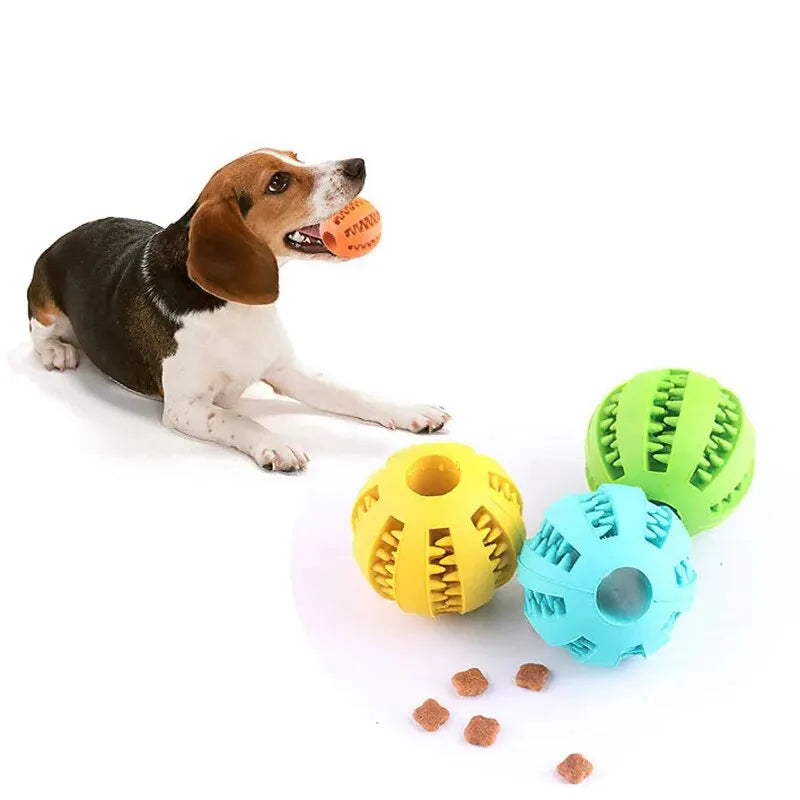 Interaktiver Spielzeugball für Hunde und Katzen aus ungiftigem Gummi