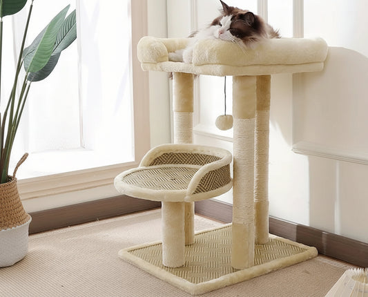 Eleganter Kratzbaum mit weichen Plüschnestern und Hängespielzeug