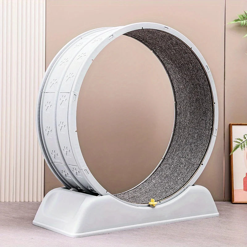 Trainingsrad für Katzen mit leisen Betrieb und Sicherheitsmechanismus