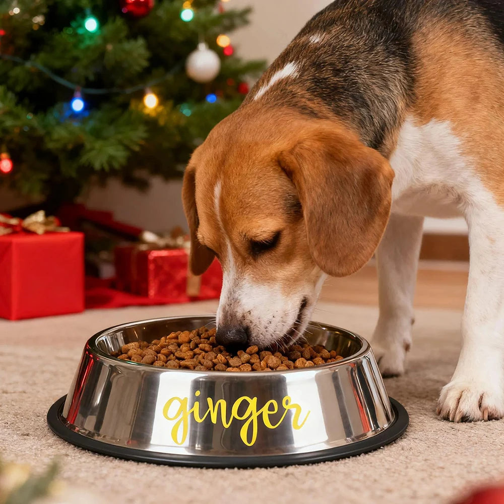 Schöner Napf für Ihre geliebten Haustiere aus Edelstahl