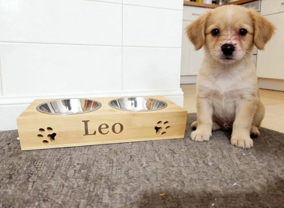 Einzigartiger Futternapf aus Holz für kleine Hunde mit Gravur