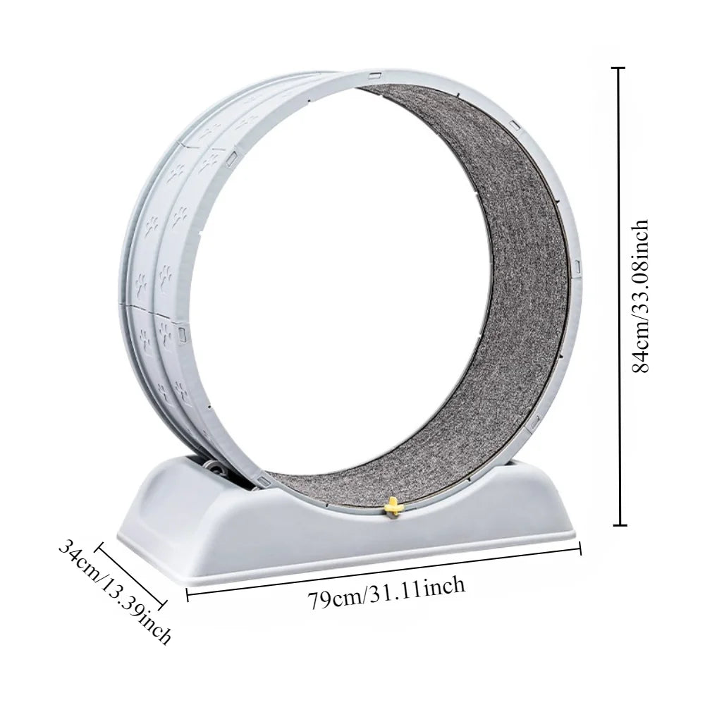 Trainingsrad für Katzen mit leisen Betrieb und Sicherheitsmechanismus